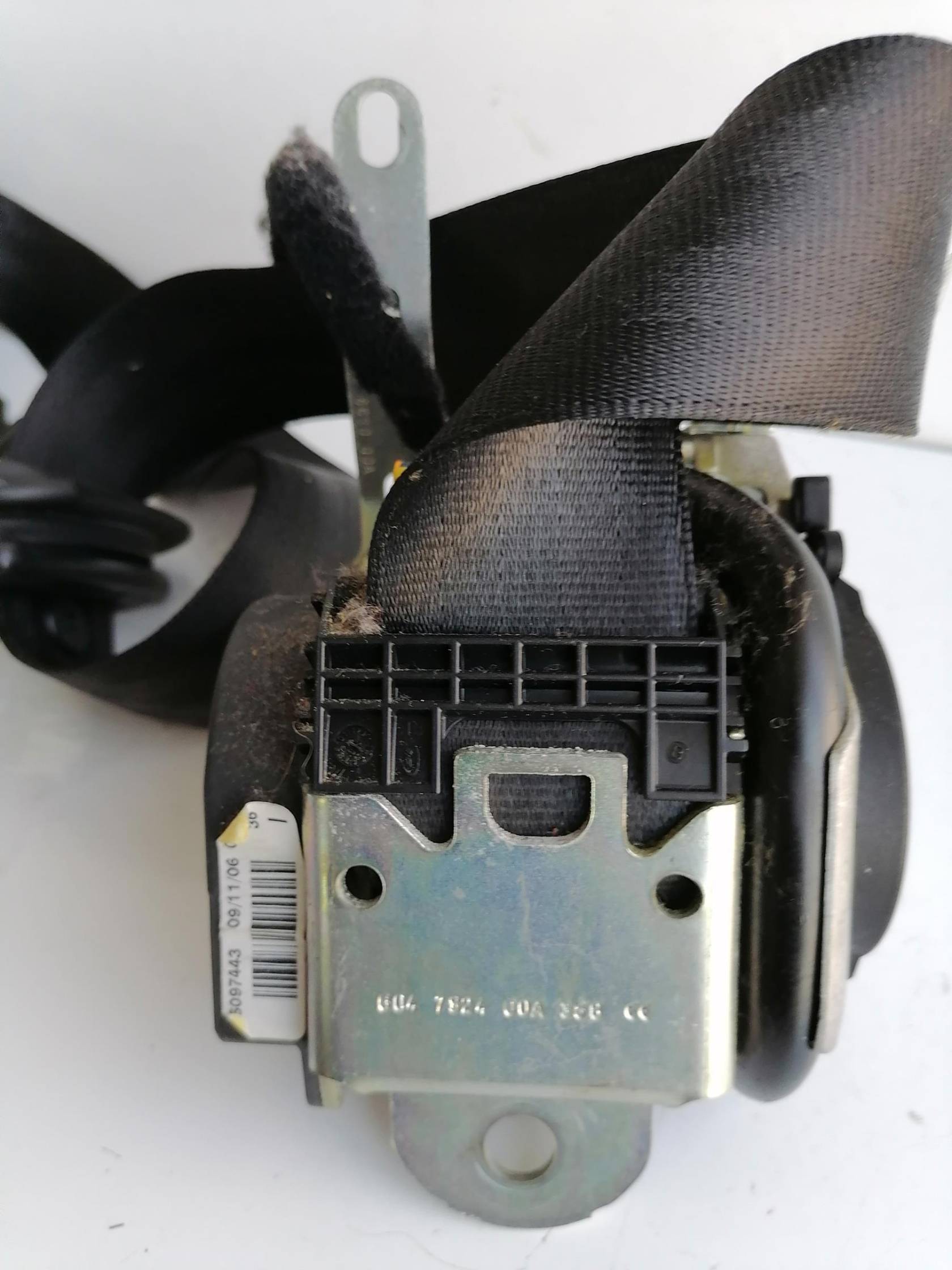 Cintura di sicurezza ant. sx.